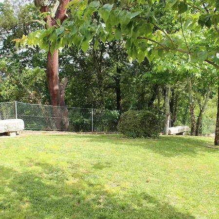 Casa Da Boavista Camelias De Basto-turismo Rural Casa de Férias Celorico De Basto