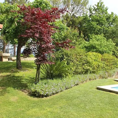 Casa Da Boavista Camelias De Basto-turismo Rural Casa de Férias *