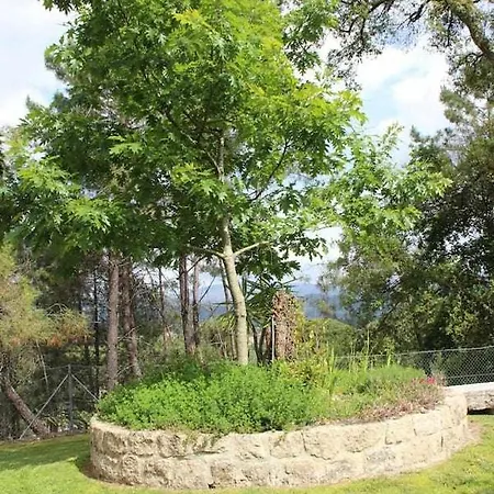 Casa Da Boavista Camelias De Bastoturismo Rural *
