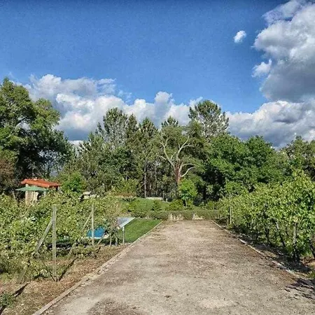 Casa Da Boavista Camelias De Bastoturismo Rural סלוריקו דה באשטו