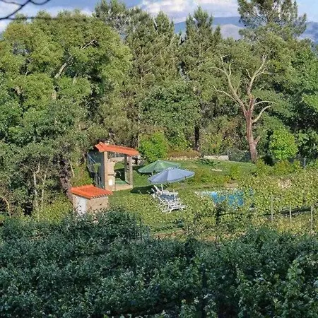 בית נופש Casa Da Boavista Camelias De Bastoturismo Rural